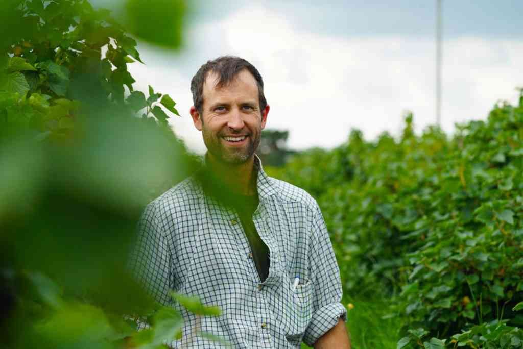Third-generation blackcurrant grower Josh Berry and his family have been growing blackcurrants on their farm since the 1960s | Credit: The Blackcurrant Foundation